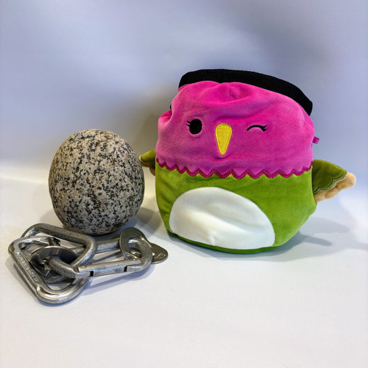 Parrot Rock Climbing Chalk Bag