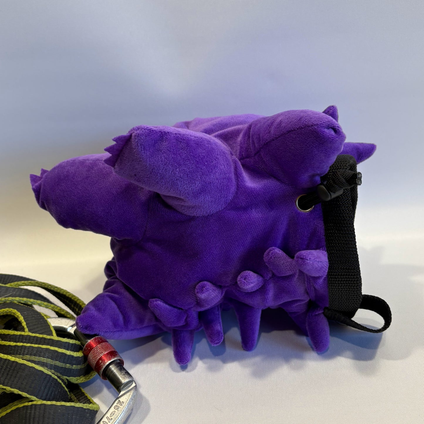 Rock Climbing Chalk Bag