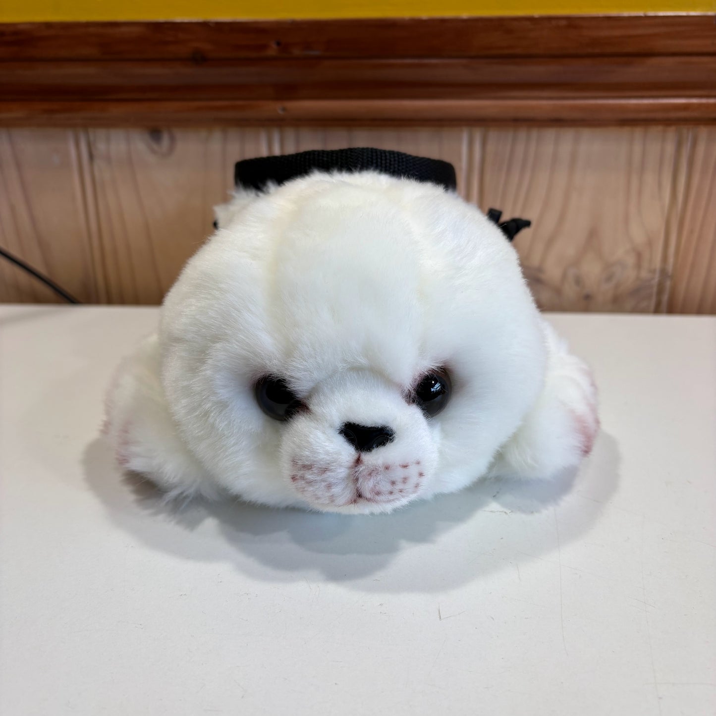 Custom Baby Seal Chalk Bag for Paolo