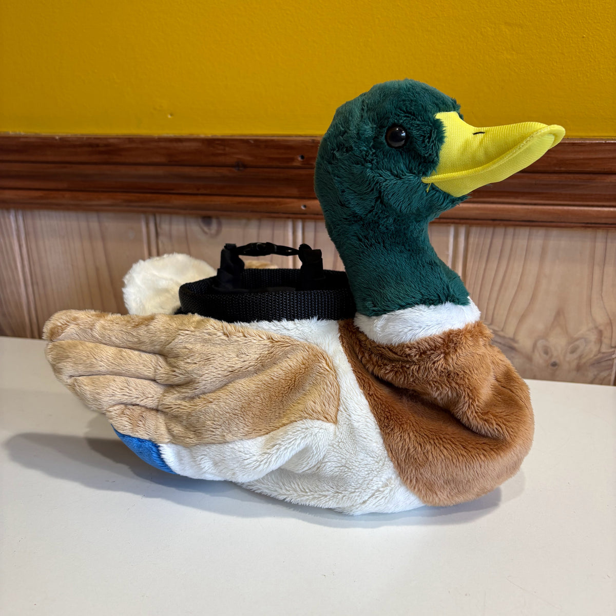 Custom Duck Chalk Bucket for Jonas