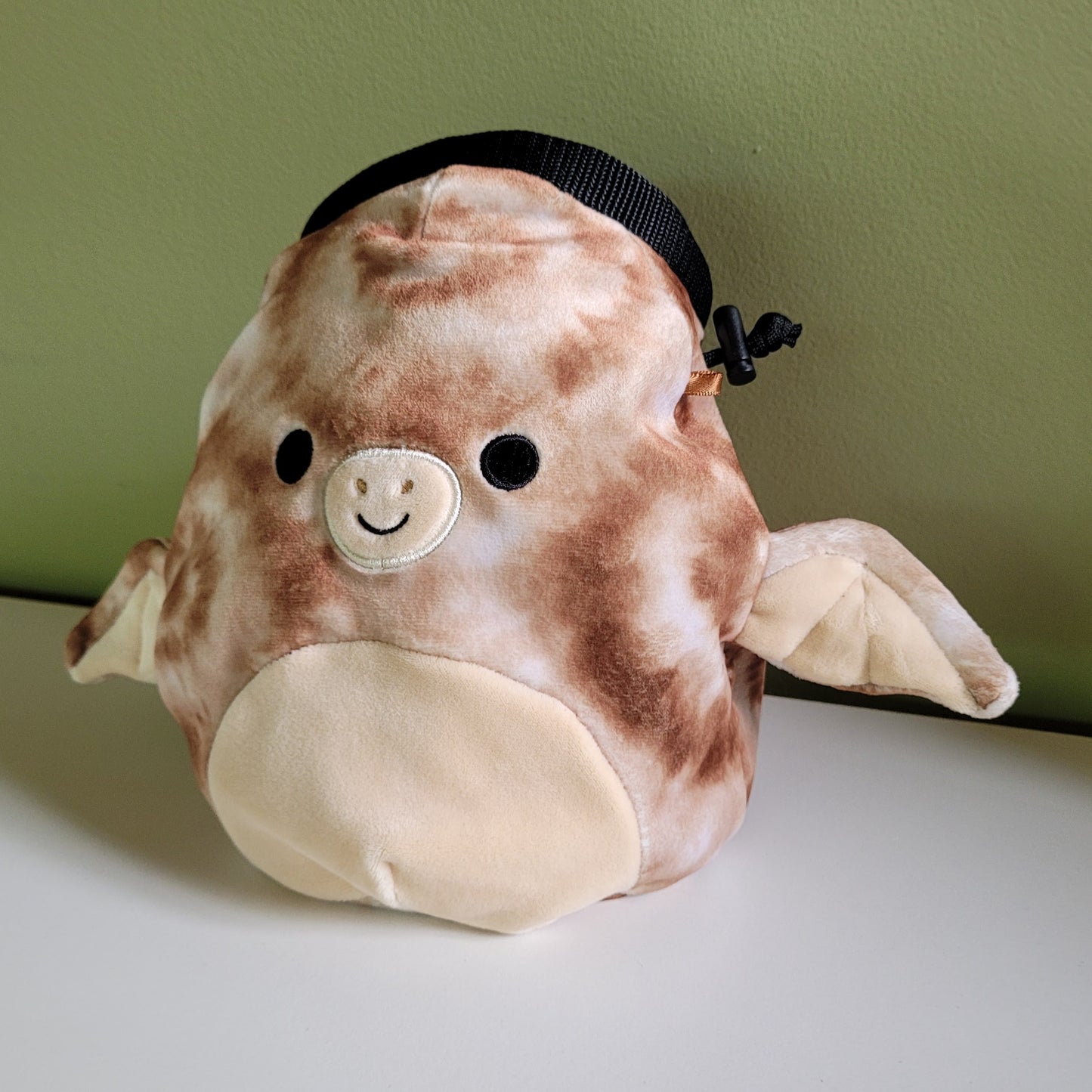 Pterodactyl Dinosaur Rock Climbing Chalk Bag