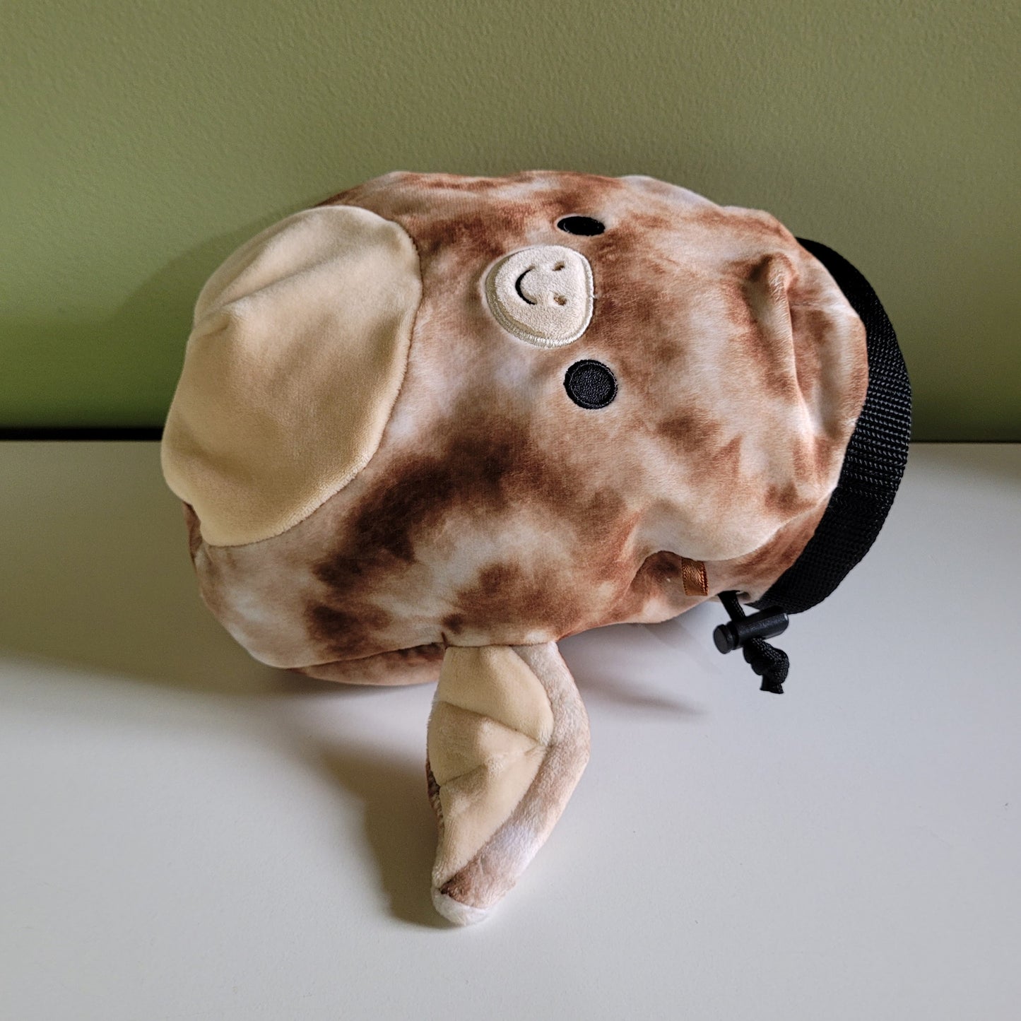 Pterodactyl Dinosaur Rock Climbing Chalk Bag