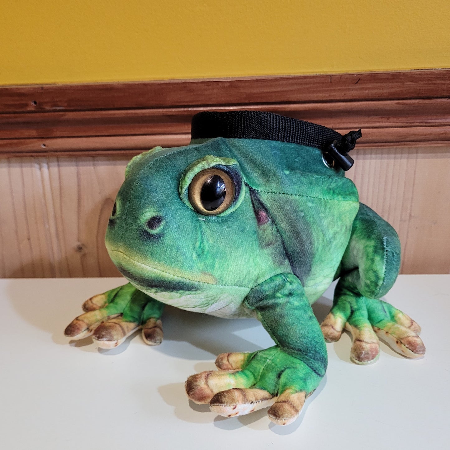 Green Tree Frog Rock Climbing Chalk Bag