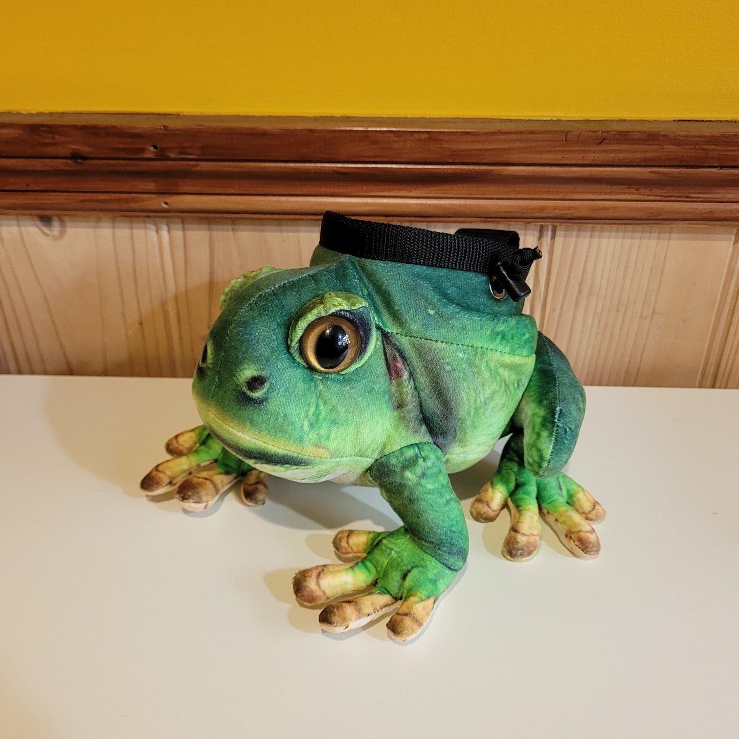 Green Tree Frog Rock Climbing Chalk Bag